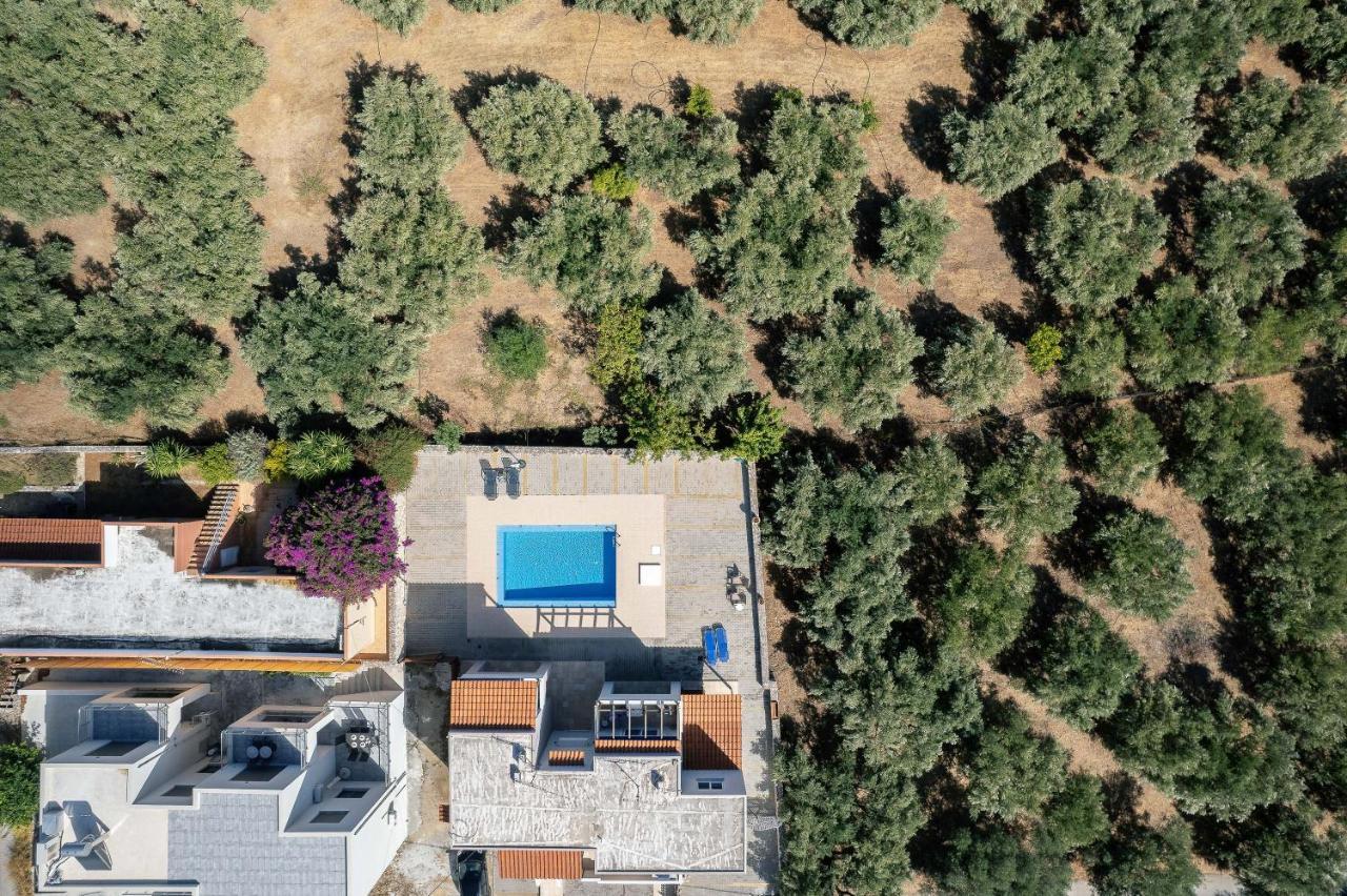 Greek Sky - New Modern Apartment With Shared Pool Tavronitis エクステリア 写真